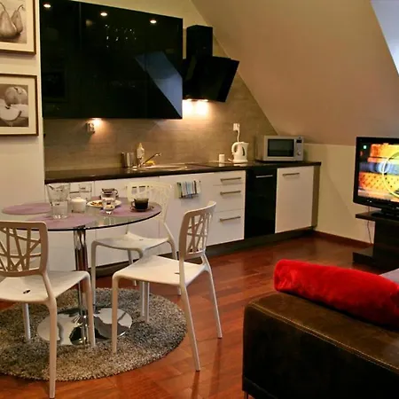ApartSerwis - Gorące Źródła Apartament Lodowa Kopa 2-3